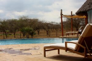 Staying Connected on a Safari in Uganda: Your 2026 Internet & Mobile Guide staying connected on a safari