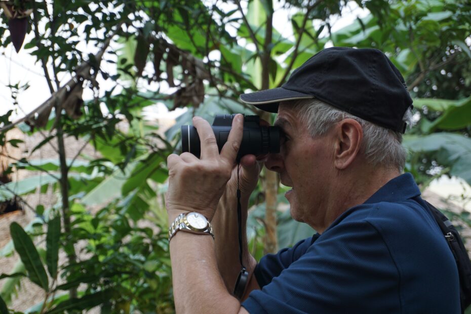 Uganda Safaris for Elderly Travelers: The Complete Guide for Seniors Uganda Safaris for Elderly