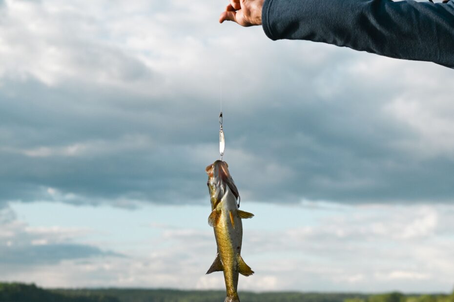 Sport Fishing Uganda: The Ultimate Angler’s Guide to Africa’s Freshwater Paradise Sport Fishing Uganda