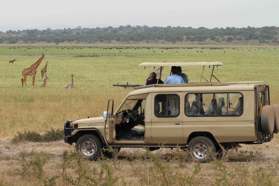 Uganda National Parks: A Complete Guide to All 10 Parks Safari vehicle on a game drive in Uganda national parks with giraffes