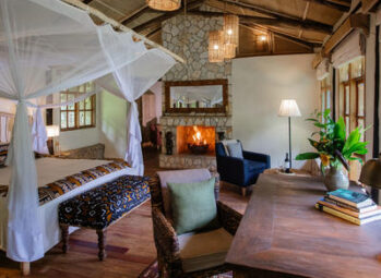 Best Time to Visit Serengeti National Park In Tanzania in 2026/2027!