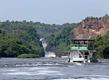 2-Days-Murchison-Falls-Safari-1-scaled-1 Uganda Gorilla Safaris for East Africans: Permits, Costs and Tips