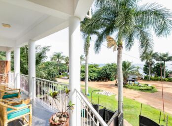 Gorilla Trekking in Uganda: A journey into the wild-2026/2027