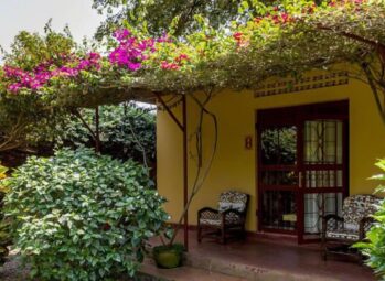 Bwindi National Park Location: How to Get There