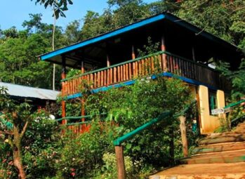 Mgahinga Gorilla National Park