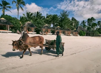Lake Bunyonyi: Visit Uganda's Number 1Most Beautiful Lake in South western hills.