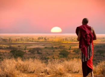 Best Time to Visit Rwanda to See Gorillas in (2026)