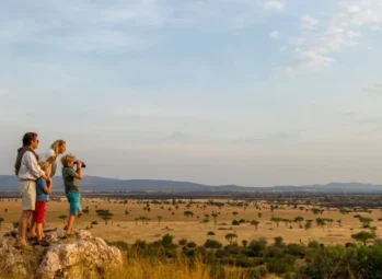 Wildlife in Murchison Falls National Park: 10 Incredible Animals You Must See on a Uganda Safari