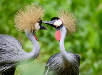 17 Awe-Inspiring Hidden Gems in Uganda – Must-Visit Tourist Destinations for 2026!