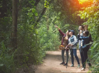 Exclusive Rwanda Gorilla Permits & Discounted Rates 2026!