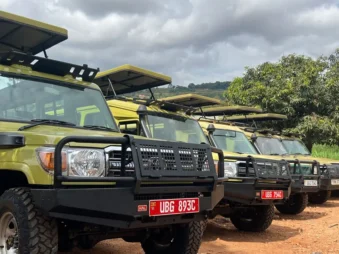 Self drive safari in Uganda, safari vehicle on a game drive