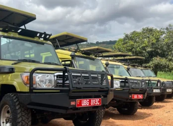 Self drive safari in Uganda, safari vehicle on a game drive