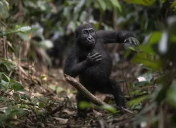 The 10 Top Things To Do In Jinja - Fun Experiences