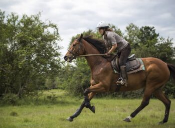 Horse Riding in Uganda