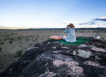 Giraffes in Africa: Top 13 Best Places to See Giraffes on a Safari in Africa