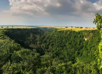 Nairobi City Tour: 8 Exciting Things You Must Do for an Incredible Adventure