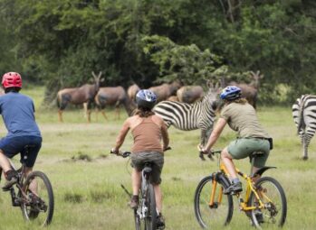 Victoria Falls: Zimbabwe & Zambia