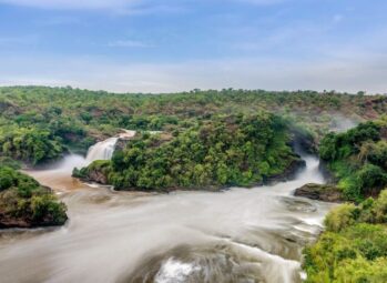 Best Time to Visit Masai Mara | Safari & Migration