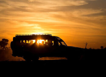 NIGHT GAME DRIVE 2 Night Game Drive Uganda: The Complete Guide to Safari After Dark