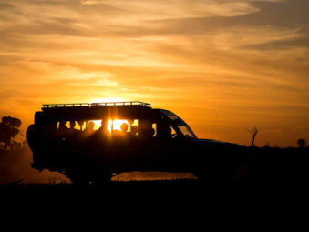 Night Game Drive Uganda: The Complete Guide to Safari After Dark
