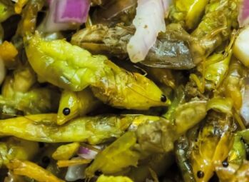 Apoka Safari Lodge Kidepo