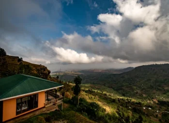 Unforgettable Gorilla Habituation Experience in Bwindi Impenetrable Forest 2026