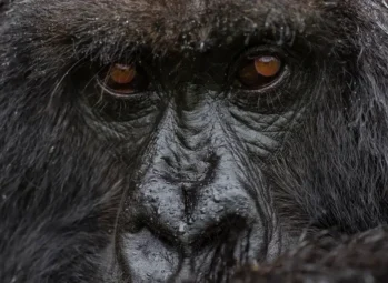 Sipi Falls: Uganda's Must-Visit Gem in (2026/2027)