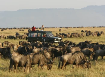 Masai Mara