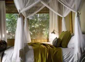 Sanctuary-Gorilla-Forest-Camp-1-scaled Murchison Falls Location: How To Get There By Car Or Plane?