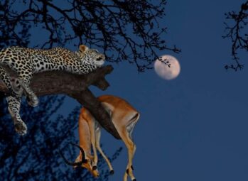 Kigali City Tour Rwanda