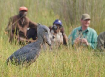 Beautiful Visa Free Destinations for Ugandans 2026/2027