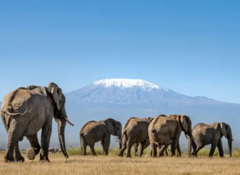 13 Cool Facts about Ngorongoro Crater