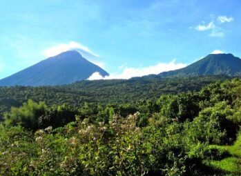 VIRUNGA 3 Mountain Gorilla Double Trekking Uganda