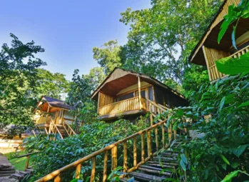 Where to Go In Zanzibar? Best Places to Visit