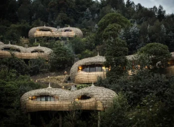 Uganda Gorilla Safari Holiday: The Ultimate Trek with Mountain Gorillas in 2026