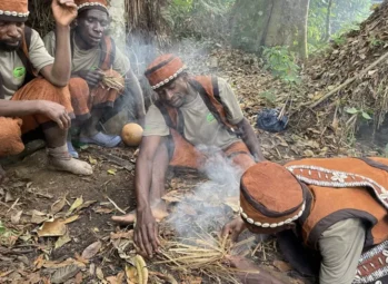 Ultimate Chimpanzee Trekking Uganda Guide 2026 – Discover the Amazing World of Chimps