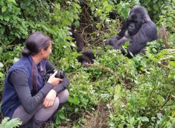 Where to Stay in Ssese Islands, Kalangala: 7 Best Hotels