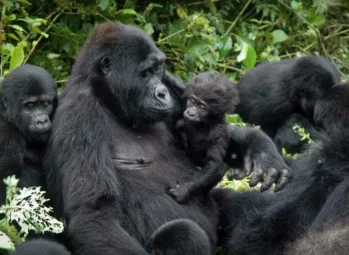 15 Exciting Things to do in Kampala