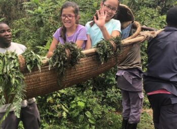 can-children-gorilla-trekking Where Is Bwindi? Location and How to Get There
