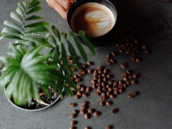 Uganda Coffee Tours