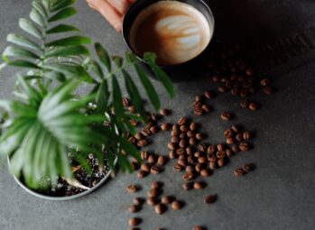 coffeee 5 Uganda Coffee Tours