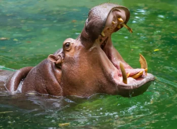 Romantic Istanbul & Bursa 10-Day Couples Getaway (2026)