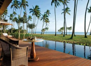 20Astonishing Facts About Mountain Gorilla Conservation in Uganda