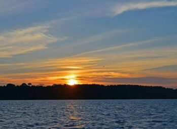 lakevictoria3-scaled Uganda Coffee Tours: A Journey from Bean to on your safari