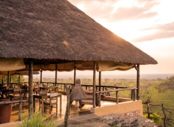 The 2 Best Times to Book Chimpanzee Trekking Kibale Permits for a 2026/2027 Safari (And Why Waiting Will Cost You)