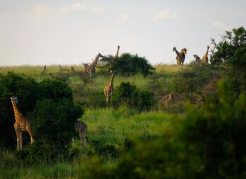 15 Exciting Things to do in Kampala