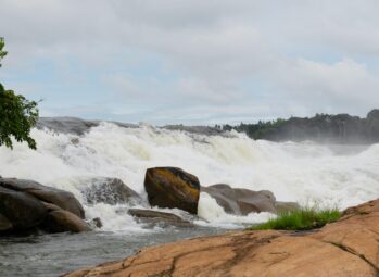 pexels-marri-shyam-366418-31740855-scaled Required Vaccinations for Uganda : Your Healthy Checklist for Uganda Safari 2026