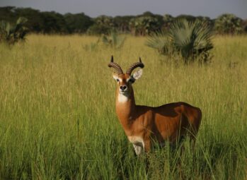 Tanzania Beaches | 7 of The Best Beach Destinations in Tanzania