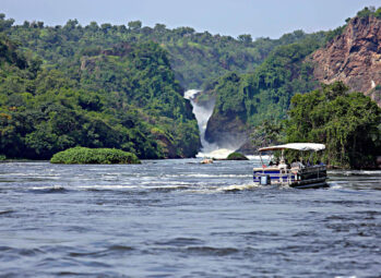 Ultimate Packing List for Gorilla Trekking in 2026: Essentials for a Perfect Adventure