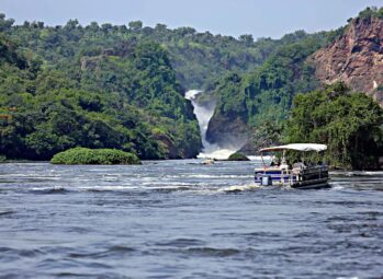 8 Days Uganda Rhinos, Chimps, Lions and Gorillas Safari